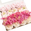 Pk-powder Pink & Berry Pink & Cream