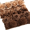Brn-earth Brown & Sand Beige