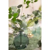 image:imageLings moment Artificial Greenery Stems Box Set Faux Greenery Picks for DIY Bridal Bouquets Wedding Floral Arrangement Table Centerpieces Dark Green amp SageGreenery Combo Jade  Kiwi Colada