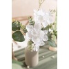 image:imageLings moment Artificial Greenery Stems Box Set Faux Greenery Picks for DIY Bridal Bouquets Wedding Floral Arrangement Table Centerpieces Dark Green amp SageSeason Combo Early Spring