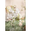 image:imageLings moment Artificial Greenery Stems Box Set Faux Greenery Picks for DIY Bridal Bouquets Wedding Floral Arrangement Table Centerpieces Dark Green amp SageFiller Flower Combo White  Light Green