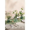 image:imageLings moment Artificial Greenery Stems Box Set Faux Greenery Picks for DIY Bridal Bouquets Wedding Floral Arrangement Table Centerpieces Dark Green amp SageGreenery Combo Jade  Kiwi Colada