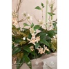 image:imageLings moment Artificial Greenery Stems Box Set Faux Greenery Picks for DIY Bridal Bouquets Wedding Floral Arrangement Table Centerpieces Dark Green amp SageSeason Combo Early Autumn