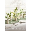 image:imageLings moment Artificial Greenery Stems Box Set Faux Greenery Picks for DIY Bridal Bouquets Wedding Floral Arrangement Table Centerpieces Dark Green amp SageSeason Combo Late Spring
