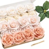 Pk- Petal Pink & Ballet Pointe
