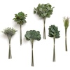 Greenery Combo- Dark Green & Sagen