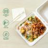 image:imageFreshware Clamshell Food Containers with Lids 6x6 100Pack Disposable To Go Containers Biodegradable Sugarcane To Go Boxes  Paper Container  Microwave amp Freezer Safe Stackable9 x 9 Inch