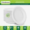 image:imageFreshware Paper Plates  Disposable 10 Plate 500Pack Biodegradable Sugarcane Dinner Plates  Heavy Duty Dinnerware for Hot Food  Microwave amp Freezer Safe Stackable Dinnerware9 Inch  150 Pack