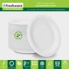 image:imageFreshware Paper Plates  Disposable 10 Plate 500Pack Biodegradable Sugarcane Dinner Plates  Heavy Duty Dinnerware for Hot Food  Microwave amp Freezer Safe Stackable Dinnerware9 Inch 125Pack