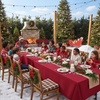 image:imagesancua Round Tablecloth 108 Inch Diameter 6 Pack Burgundy  Circle Polyester Fabric Table Cloth for Chiristmas Party Reception Banquet Birthday Washable Formal Table Cover Fit 4296 Inch TablesRed