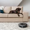 imageShark AV2001 AI Robot Vacuum with SelfCleaning Brushroll Object Detection Advanced Navigation Home Mapping Perfect for Pet Hair Compatible with Alexa GrayGray