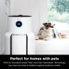 imageShark Air Purifiers for Home Large Room with NeverChange Air Filter 5 Year HEPA Filter Covers 650 Sq ft Odor Neutralizer and Clean Sense Technology Removes 9998 of Dust ampamp Allergens HP152White