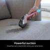 imageShark Carpet Cleaner Machine Portable Upholstery StainStriker Spot Odor ampamp Stain Remover 2 Carpet Cleaner Solutions 3 Tools Perfect for Pet Hair Carpet Area Rugs Couches Burgundy PX203BRNShark StainStriker Bonus Wide Path Tool