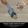 imageShark Carpet Cleaner Machine Portable Upholstery StainStriker Spot Odor ampamp Stain Remover 2 Carpet Cleaner Solutions 3 Tools Perfect for Pet Hair Carpet Area Rugs Couches Burgundy PX203BRNShark StainStriker Bonus Chemical  Tool