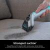imageShark Carpet Cleaner Machine Portable Upholstery StainStriker Spot Odor ampamp Stain Remover 2 Carpet Cleaner Solutions 3 Tools Perfect for Pet Hair Carpet Area Rugs Couches Burgundy PX203BRNShark StainStriker Bonus Chemical  Tool