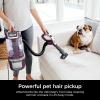 imageShark LA502 Rotator Vacuum Vacuum with Self Brushroll Powerful Pet Hair Pickup and HEPA Filter LiftAway Upright wDuo Clean SilverWine Purple