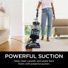 imageShark NV352 Navigator Lift Away Upright Vacuum Hepa Filter AntiAllergen Technology Swivel Steering Ideal for Carpet Stairs ampamp Bare Floors with Wide Upholstery ampamp Crevice Tools LavenderBlue