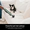 imageShark WANDVAC System Pet UltraLightweight Powerful Cordless Stick Vacuum with Charging Dock WS642 GreyGreen