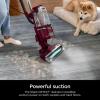 imageShark ZU102 Rotator Pet Upright Vacuum with PowerFins HairPro ampamp Odor Neutralizer Technology Charcoal 29 L Dust CupDETECT  Odor Neutralizer Technology