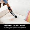 imageShark WANDVAC Power PET Cordless Hand Vac UltraLightweight ampamp Portable with Powerful Suction ampamp Boost Mode New FurFins Tool ampamp Duster Crevice Tool Designed for Car ampamp Pet Homes White WV410WHWANDVAC POWER PET