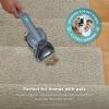 imageShark StainStriker HairPro Portable Carpet Upholstery ampamp Area Rug Cleaner SelfCleaning Stain Hair ampamp Odor Remover Perfect for Pets ampamp Car Interiors 3 Tools ampamp Pet Cleaning Solution Teal PX253BRNStainStriker  Chemical  Tool