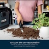 image:imageShark EveryMess  UltraPowerful 3in1 Wet Vac Dry Vac amp Stain Eliminator  StainForce Technology Perfect for Homes Pets and Cars  3 Accessories and Cleaning Solution  Blue  VX102BRNGray