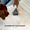 image:imageShark EveryMess  UltraPowerful 3in1 Wet Vac Dry Vac amp Stain Eliminator  StainForce Technology Perfect for Homes Pets and Cars  3 Accessories and Cleaning Solution  Blue  VX102BRNOcean Blue