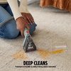 image:imageShark CarpetForce Ultra Upright Carpet Cleaner with HairPro PowerFins Brushroll Two Cleaning Modes Deep Clean Ultra Solution Powerful Stain and Odor Removal Copper EX551Spot  Stain