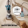 image:imageShark CarpetForce Ultra Upright Carpet Cleaner with HairPro PowerFins Brushroll Two Cleaning Modes Deep Clean Ultra Solution Powerful Stain and Odor Removal Copper EX551HairPro  StainStriker