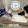 image:imageShark CarpetForce Ultra Upright Carpet Cleaner with HairPro PowerFins Brushroll Two Cleaning Modes Deep Clean Ultra Solution Powerful Stain and Odor Removal Copper EX551HairPro  Spot  Stain