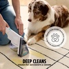 image:imageShark CarpetForce Ultra Upright Carpet Cleaner with HairPro PowerFins Brushroll Two Cleaning Modes Deep Clean Ultra Solution Powerful Stain and Odor Removal Copper EX551StainStriker