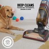 image:imageShark CarpetForce Ultra Upright Carpet Cleaner with HairPro PowerFins Brushroll Two Cleaning Modes Deep Clean Ultra Solution Powerful Stain and Odor Removal Copper EX551HairPro