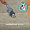 image:imageShark StainStriker Portable Carpet amp Upholstery Cleaner 3 Tools PX206BRN  For Carpet Upholstery amp Area Rugs Stain amp Odor Remover Deep Clean Pro amp OXY Formulas 35 Stain Crevice amp Pet Hair Tools