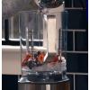 imageGE 5Speed Blender  2 16 Ounce Blender Cups  Kitchen Essentials Blender for Shakes Smoothies ampamp More  Large 64 oz Tritan Jar 810 Servings  Stainless Steel Blades ampamp Exterior Finish  1000 WattsBlender with Personal Cups