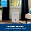 imageGE Energy Star Portable Dehumidifier for Basement Bedroom Bathroom Garage or Closet up to 3000 Sq Ft 35 Pint with Removable Bucket and Continuous Drain Connect for Auto or Manual Drainage