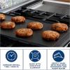 imageWB31X24738 GE Appliance Griddle