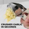 imageZulay Comfort Grip Garlic Press  Garlic Mincer Tool  Garlic Crusher  Garlic Press Mincer Rust Proof with Soft Ergonomic Handle Easy Clean Set with Peeler and BrushBlizzard White