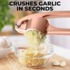 imageZulay Kitchen Large Premium Garlic Press Set  Bigger Bowl for Bigger Garlic  Rust Proof ampamp Dishwasher Safe Garlic Mincer Tool  EasySqueeze EasyClean Silicone Garlic Peeler ampamp Brush SilverRose Gold