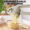imageZulay Kitchen Large Premium Garlic Press Set  Bigger Bowl for Bigger Garlic  Rust Proof ampamp Dishwasher Safe Garlic Mincer Tool  EasySqueeze EasyClean Silicone Garlic Peeler ampamp Brush SilverSilver
