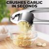 imageZulay Kitchen Large Premium Garlic Press Set  Bigger Bowl for Bigger Garlic  Rust Proof ampamp Dishwasher Safe Garlic Mincer Tool  EasySqueeze EasyClean Silicone Garlic Peeler ampamp Brush SilverChrome Silver