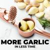 imageZulay Kitchen Large Premium Garlic Press Set  Bigger Bowl for Bigger Garlic  Rust Proof ampamp Dishwasher Safe Garlic Mincer Tool  EasySqueeze EasyClean Silicone Garlic Peeler ampamp Brush SilverRose Gold