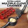 imageZulay Kitchen Large Premium Garlic Press Set  Bigger Bowl for Bigger Garlic  Rust Proof ampamp Dishwasher Safe Garlic Mincer Tool  EasySqueeze EasyClean Silicone Garlic Peeler ampamp Brush SilverDark Gray