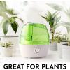 imageZulay Home Cool Mist Humidifiers For Bedroom 22L Water Tank  Quiet Ultrasonic Humidifiers For Large Room with Auto Shutoff Feature  Air Humidifier For Plants Nursery Kids Room GrayGreen