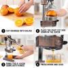 imageZulay Kitchen CastIron Orange Juice Squeezer  HeavyDuty EasytoClean Professional Citrus Juicer  Durable Stainless Steel Lemon Squeezer  Manual Citrus Press ampamp Orange Squeezer Light GreenCopper