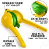 imageZulay Kitchen Premium Garlic Press Set 2in1 Lemon Squeezer and Cheese Grater Stainless Steel