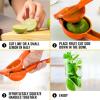imageHydration Nation Orange Squeezer  Single Bowl Metal Citrus Juicer Extracts Oranges In Seconds  Easy To Squeeze Manual Press JuicerOrange