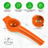 imageHydration Nation Orange Squeezer  Single Bowl Metal Citrus Juicer Extracts Oranges In Seconds  Easy To Squeeze Manual Press JuicerOrange