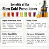 imageZulay Fruit Press Machine  Masticating Juicer Machine with High Yield Quiet Motor ampamp Reverse Function  Cold Press ampamp Carrot Juicer with Wide Chute  Slow Juicer Machines for Fruits ampamp VegetablesDark Black