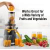 imageZulay Fruit Press Machine  Masticating Juicer Machine with High Yield Quiet Motor ampamp Reverse Function  Cold Press ampamp Carrot Juicer with Wide Chute  Slow Juicer Machines for Fruits ampamp VegetablesDark Black