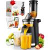 imageZulay Fruit Press Machine  Masticating Juicer Machine with High Yield Quiet Motor ampamp Reverse Function  Cold Press ampamp Carrot Juicer with Wide Chute  Slow Juicer Machines for Fruits ampamp VegetablesDark Black